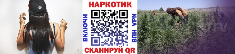 Купить наркотики сайты Калининец СК Галлюциногенные грибы Каннабис Кокаин ГАШИШ