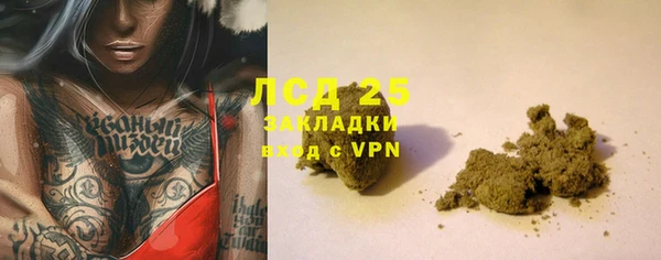 ПСИЛОЦИБИНОВЫЕ ГРИБЫ Няндома