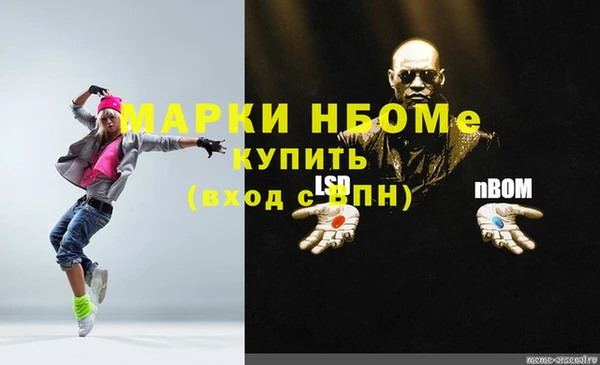 ПСИЛОЦИБИНОВЫЕ ГРИБЫ Няндома