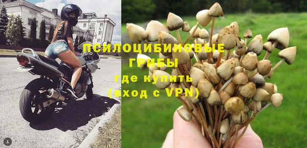 бутират Нязепетровск