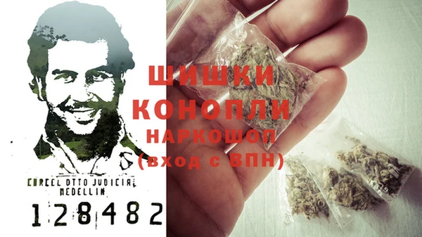 ПСИЛОЦИБИНОВЫЕ ГРИБЫ Няндома